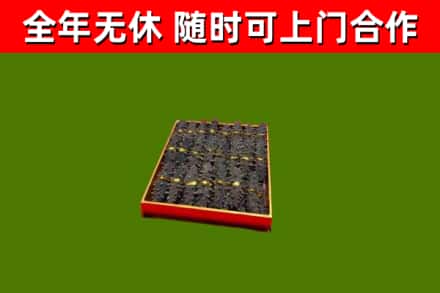 汉南回收海参